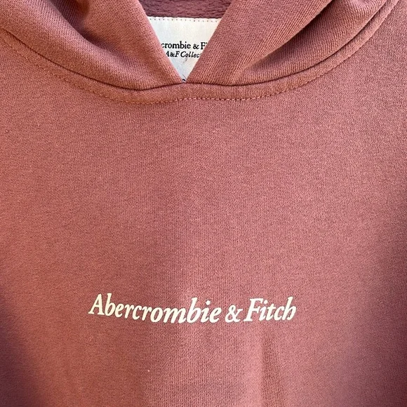 Abercrombie & Fitch Mauve Soft Fleece Oversized Cropped Logo Hoodie size XS - Picture 3 of 8